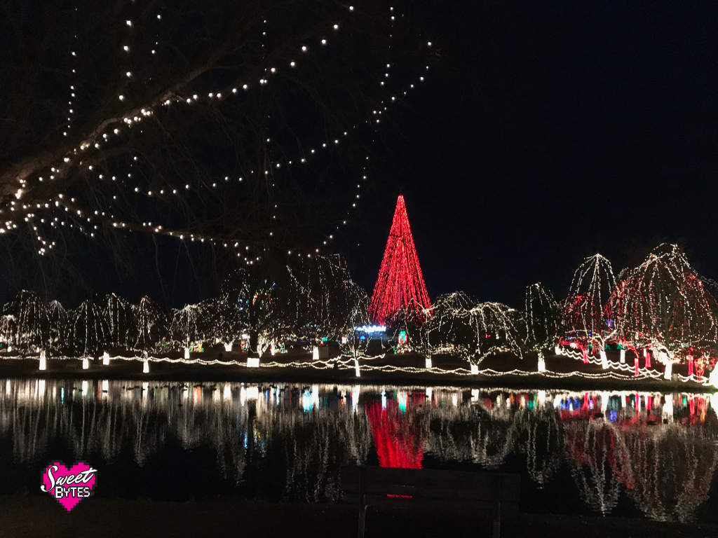 A view of Christmas lights at night at the Festival of Lights in Chickasha, OK